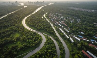 nasa viral photo deforestation issue