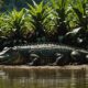 child killed by crocodile