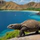 komodo national park heritage