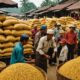 rice price updates 2023